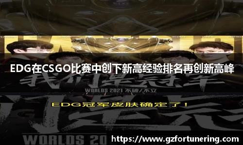 EDG在CSGO比赛中创下新高经验排名再创新高峰