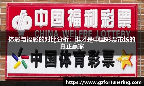 体彩与福彩的对比分析：谁才是中国彩票市场的真正赢家